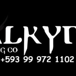 Valkyria Brewing Co.